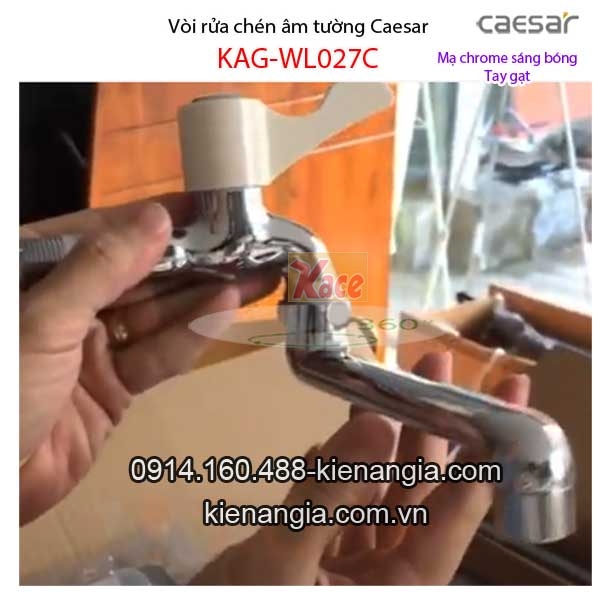 Caeasar-WL027C-Voi-rua-chen-am-tuong-Caesar-WL027C-3