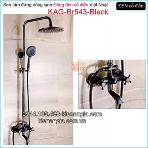Sen tắm đứng đồng đen cổ điển KAG-Br543-Black