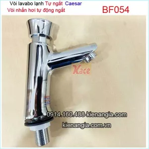 Vòi lavabo nhấn hơi tự ngắt thân cao Caesar-BF054