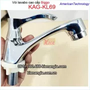 Vòi lavabo lạnh tay gạt cao cấp Biggo KAG-KL69