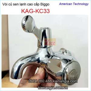 Vòi củ sen lạnh cao cấp Biggo KAG-KC33