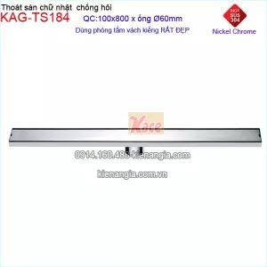 Thoát sàn chữ nhật mỹ thuật cnox 304 100x800 mm D60-KAG-TS184