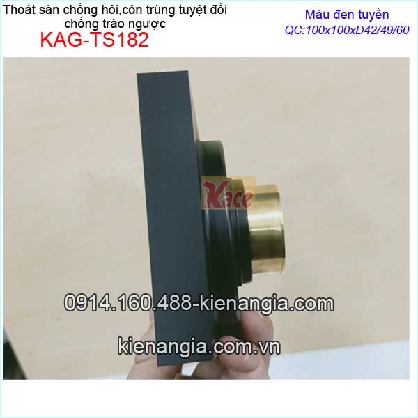 KAG-TS182-Pheu-Thoat-san-chong-hoi-con-trung-tuyet-doi-den-100x100xD60-KAG-TS182-2