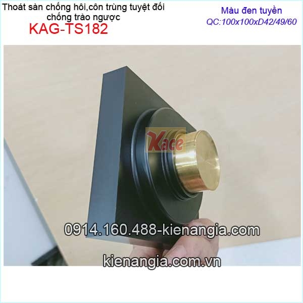 KAG-TS182-Pheu-Thoat-san-chong-hoi-con-trung-tuyet-doi-den-resort-100x100xD424960-KAG-TS182-9