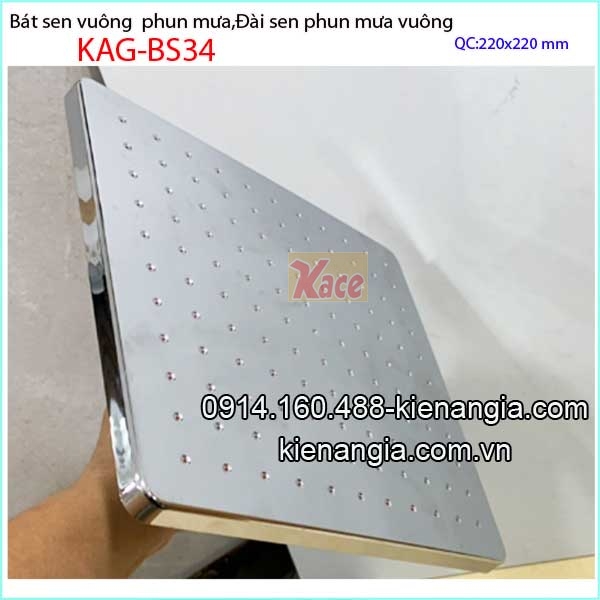 KAG-BS34-Dai-sen-phun-mua-khach-san-vuong-dep-KAG-BS34-8