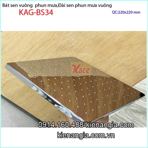 KAG-BS34-Sen-phun-mua-khach-san-vuong-220X220-dep-KAG-BS34-14