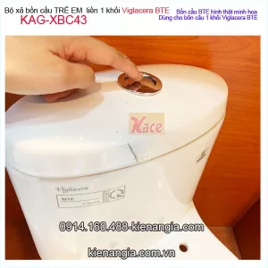 Bộ xả bồn cầu BTE Viglacera KAG-XBC43, xả 1 khối bàn cầu  nhấn