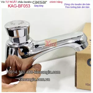 Vòi lavabo nhấn hơi tự ngắt CAESAR BF053