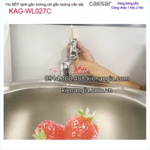 Vòi đơn gắn tường ,vòi bồn tắm lạnh CAESAR WL027C