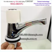 Vòi lavabo lạnh tay vặn Caesar B037C