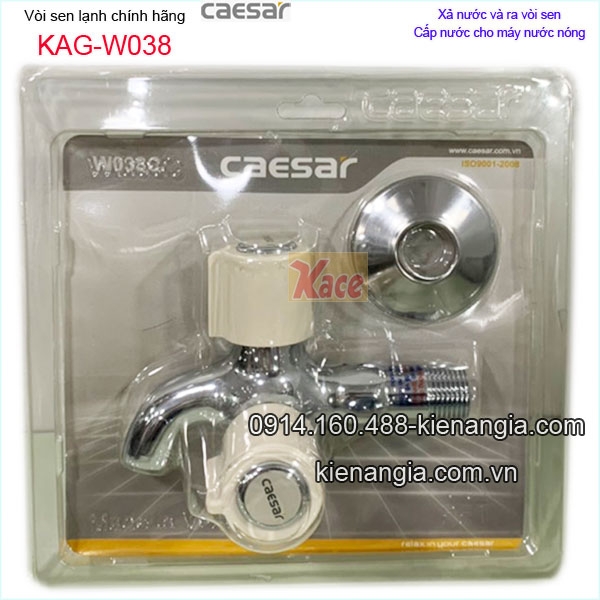 KAG-W038-SEN-TAM-LANH-Caesar-chinh-hang-KAG-W038-5