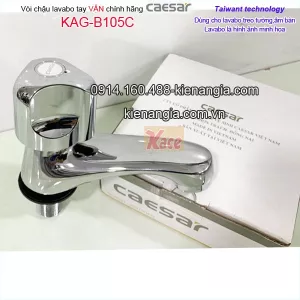 Vòi lavabo tay vặn CAESAR B105C
