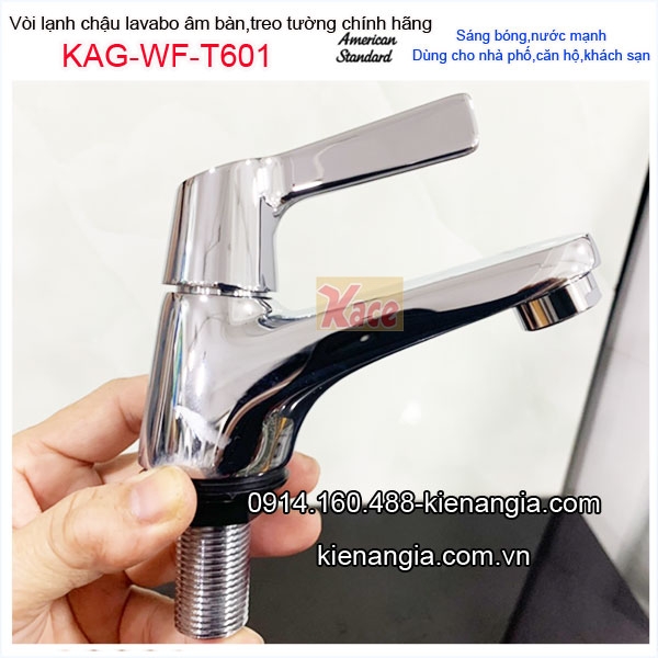 KAG-WF-T601-Voi-lanh-American-Standrad-lavabo-khach-san-KAG-WF-T601-28