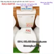 Nắp nhựa bồn cầu Viglacera KAG-NAP25