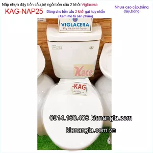 Nắp nhựa bồn cầu Viglacera KAG-NAP25