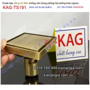 Thoát sàn đồng giả cổ chống côn trùng 100x100xD49-60-90 KAG-TS191