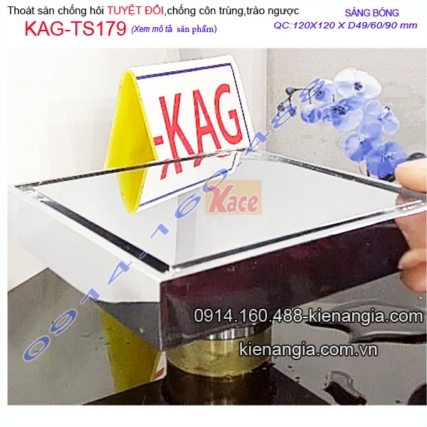 Thoát sàn chống côn trùng,trào ngược 12x12XD42/49/60 KAG-TS179