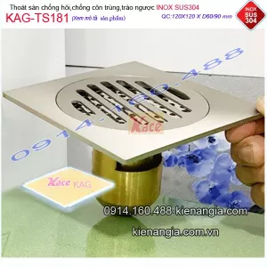 Thoát sàn chống trào ngược inox 304 mờ 12x12XD60/90 KAG-TS181