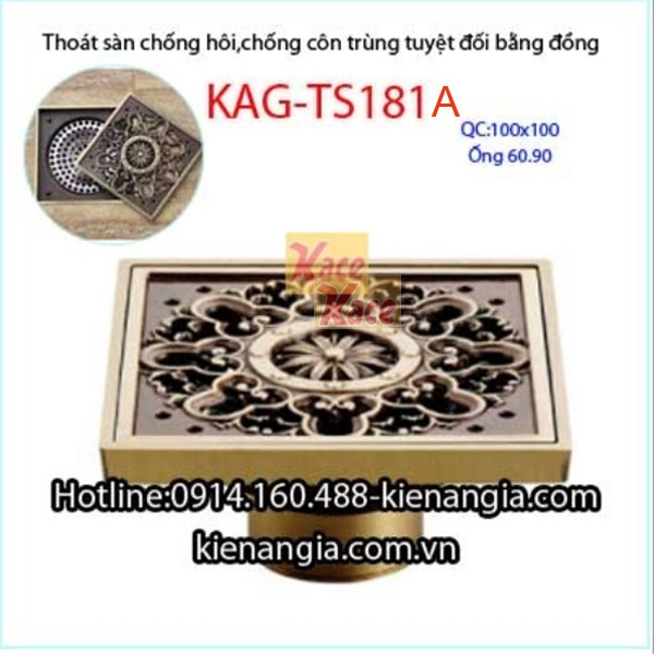 Phễu thu sàn chống côn trùng  đồng giả cổ 100x100 mm D49-60-90KAG-TS181A