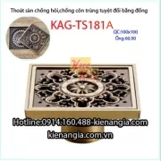 Phễu thu sàn chống côn trùng  đồng giả cổ 100x100 mm D49-60-90KAG-TS181A