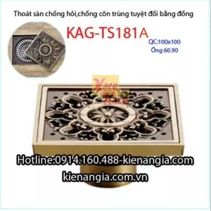 Phễu thu sàn chống côn trùng  đồng giả cổ 100x100 mm D49-60-90KAG-TS181A