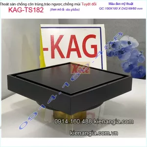 Thoát sàn mỹ thuật chống côn trùng màu đen 10x10xD42/49/60 KAG-TS182