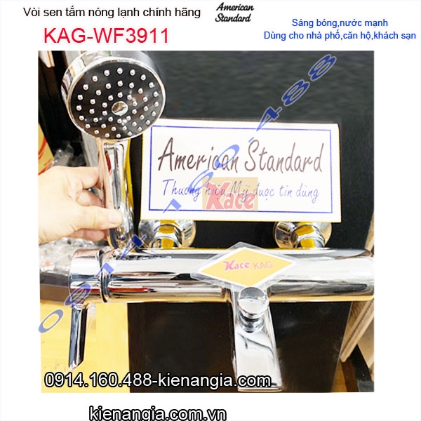 Sen tắm nóng lạnh chính hãng American Standard KAG-WF3911