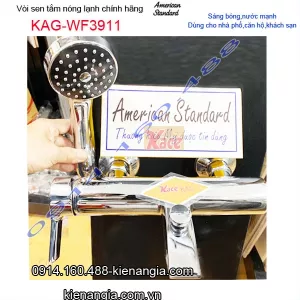 Sen tắm nóng lạnh chính hãng American Standard KAG-WF3911