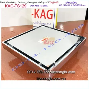Thoát sàn chống côn trùng,trào ngược 15x15XD42/49/60 KAG-TS180