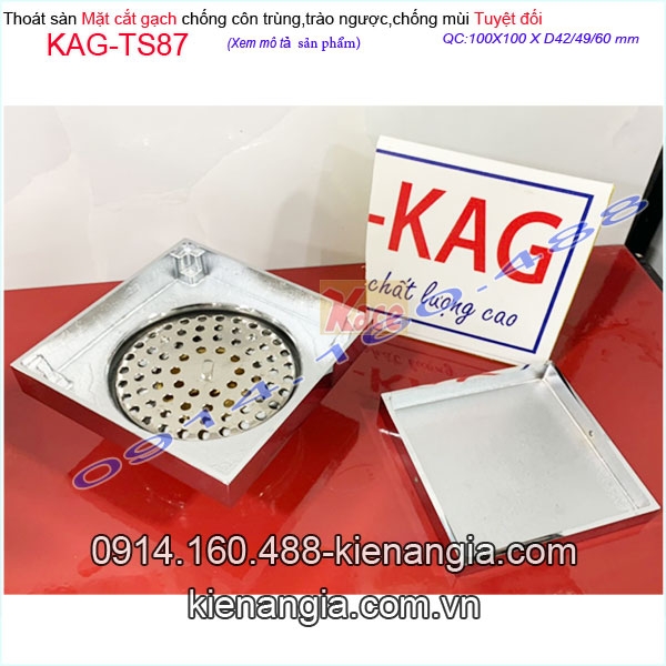 KAG-TS87-Thoat-san-mat-cat-gach-100x100XD49-chong-con-trung-truyet-doi-KAG-TS87-23