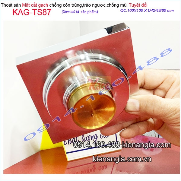 KAG-TS87-Thoat-san-phong-tam-kinh-mat-cat-gach-100x100XD60-chong-con-trung-KAG-TS87-27