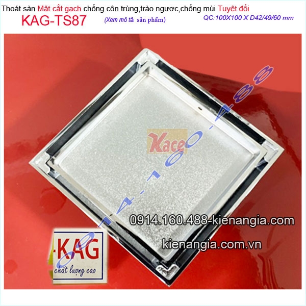 KAG-TS87-Thoat-san-100x100XD60-chong-con-trung-mat-cat-gach-KAG-TS87-22