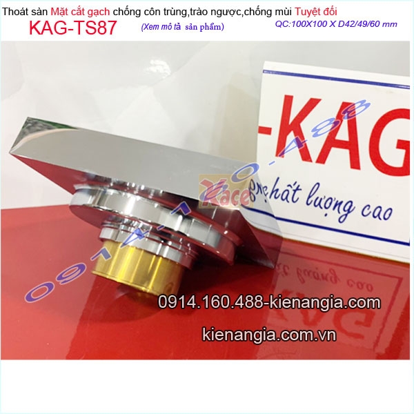 KAG-TS87-Thoat-san-mat-cat-gach-100x100XD42-chong-con-trung-tuyet-doi-KAG-TS87-20