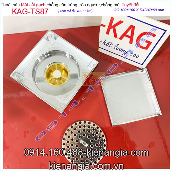 KAG-TS87-Pheu-Thoat-san-mat-cat-gach-100x100XD60-chong-con-trung-KAG-TS87-25