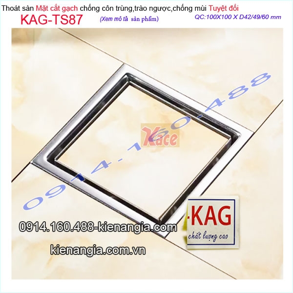 KAG-TS87-Pheu-Thoat-san-mat-cat-gach-100x100XD60-chong-con-trung-KAG-TS87-290