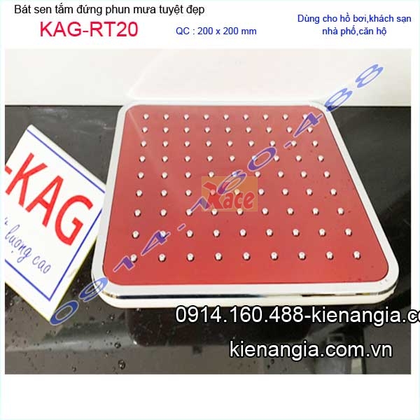 KAG-RT20-bat-sen-tam-dung-phun-mua-mau-do-nha-pho-KAG-RT20-37