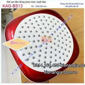 Đầu sen phun mưa độc lạ KAG-BS13
