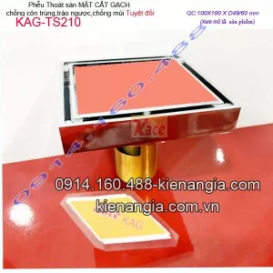 Thoát sàn mặt cắt gạch chống côn trùng 100x100xD4960 KAG-TS210