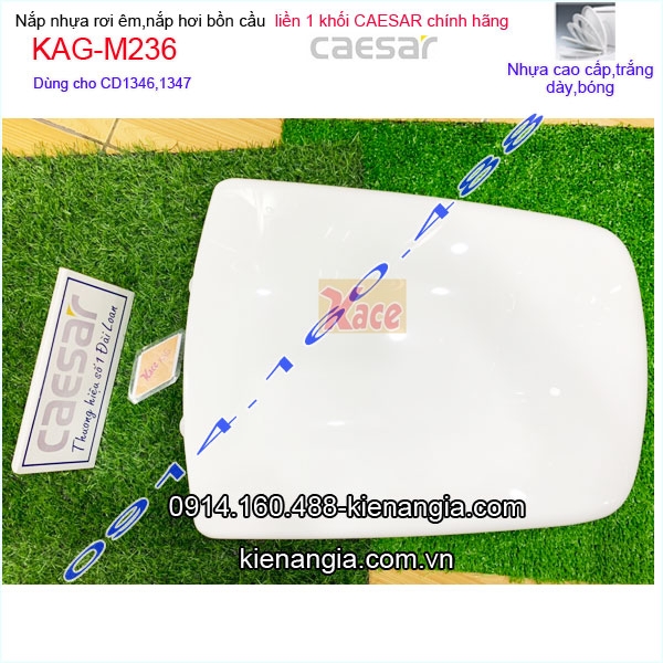 KAG-M236-Nap-hoi-hinh-thang-chinh-hang-Caesar-CD1346-KAG-M236-1