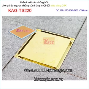 Thoát sàn màu vàng 24K  chống hôi ,chống côn trùng tuyệt đối 12x12xD60 KAG-TS220