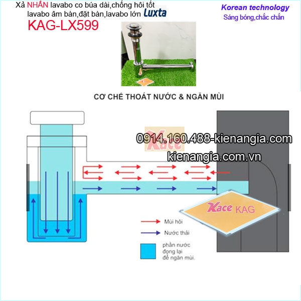 KAG-LX599-Xa-NHAN-co-bua-Luxta-lavabo-dat-ban-KAG-LX599-thoat-nuoc