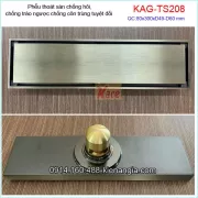 Thoát sàn dài vàng đồng 8x30XD49-60 KAG-TS208