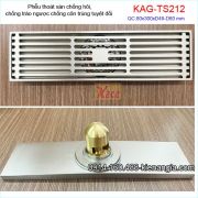 Thoát sàn Sọc dài SUS304 8x30XD49-60 KAG-TS212