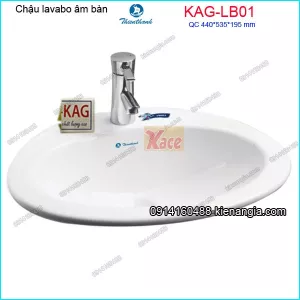 Lavabo âm bàn Thiên Thanh 53,5x 44 cmLB01L1T