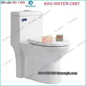 Bồn cầu 1 khối phòng tắm nhỏ Thiên Thanh Water-CK67
