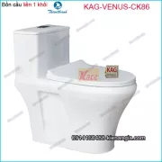 Bồn cầu Vuông 1 khối Thiên Thanh chinh hãng KAG-VENUS-CK86