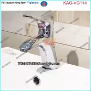 Vòi lavabo nóng lạnh VIGLACERA VG114