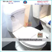 Bồn cầu GẠT nano VIGLACERA KAG-VI77