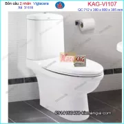 Bồn cầu 2 khối 2 NHẤN nano VIGLACERA KAG-VI107