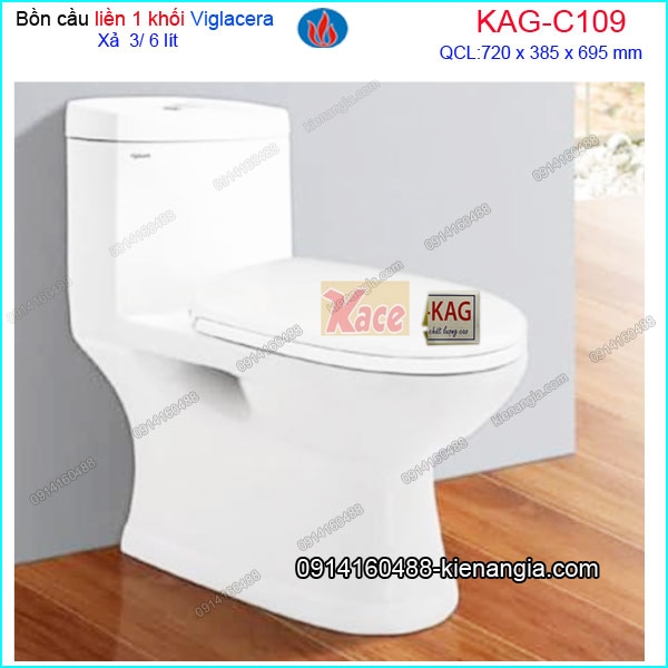 Bồn cầu 1 khối VIGLACERA C109
